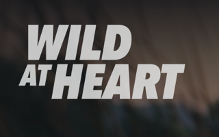 Wild at Heart